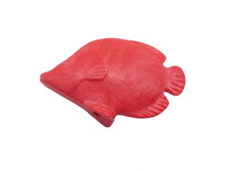 Fisch Schmetterlingsfisch