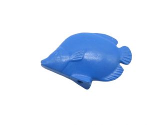 Fisch Schmetterlingsfisch