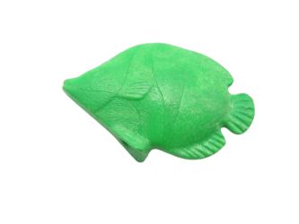 Fisch Schmetterlingsfisch