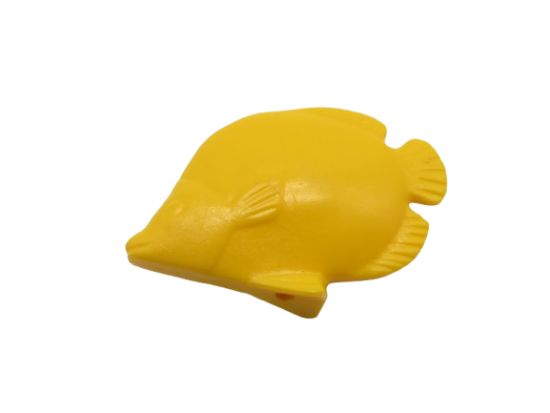 Fisch Schmetterlingsfisch Fisch Schmetterlingsfisch