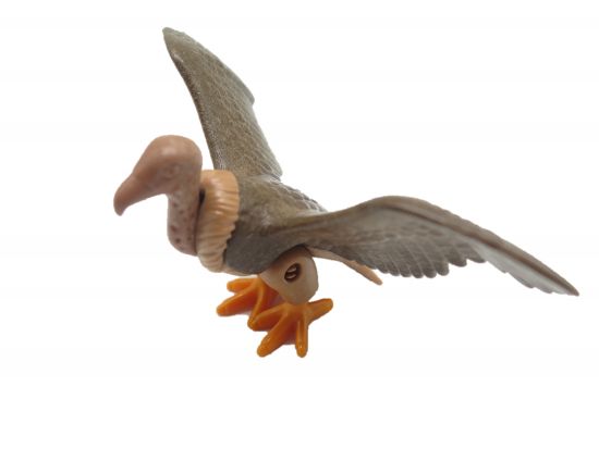 Geier fliegend Geier fliegend