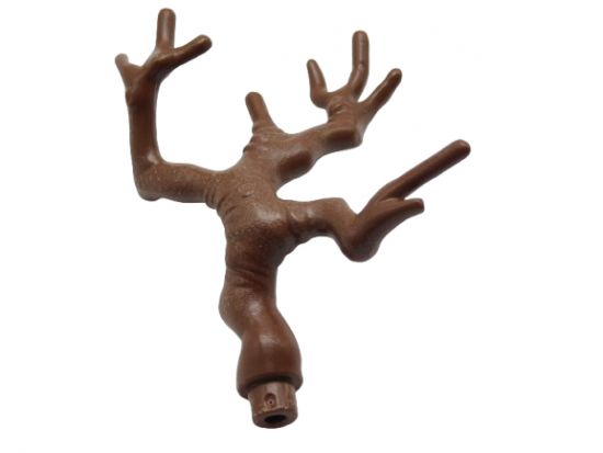 Ast Geäst Baum Stamm Ast Geäst Baum Stamm
