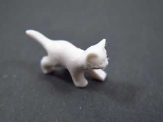 Katzenjunges stehend