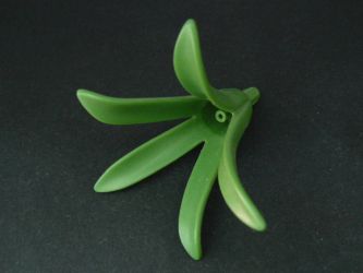Agave
