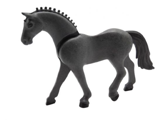 Pferd reiten Sport Pferd reiten Sport
